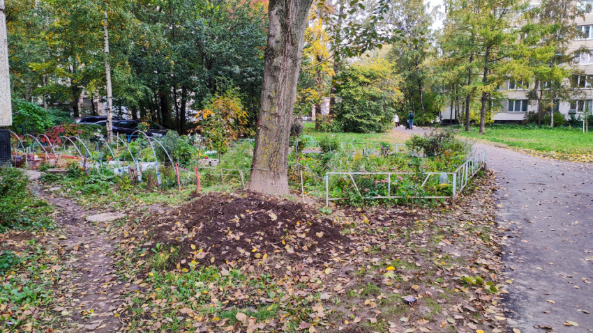 Придомовой палисадник с клумбами и зелёными насаждениями