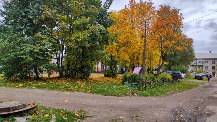 Осенний двор с деревьями, дорогой и парковкой