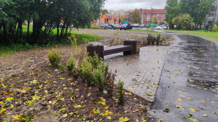 Городская скамейка у тротуара в осеннем дворе с кустарниками