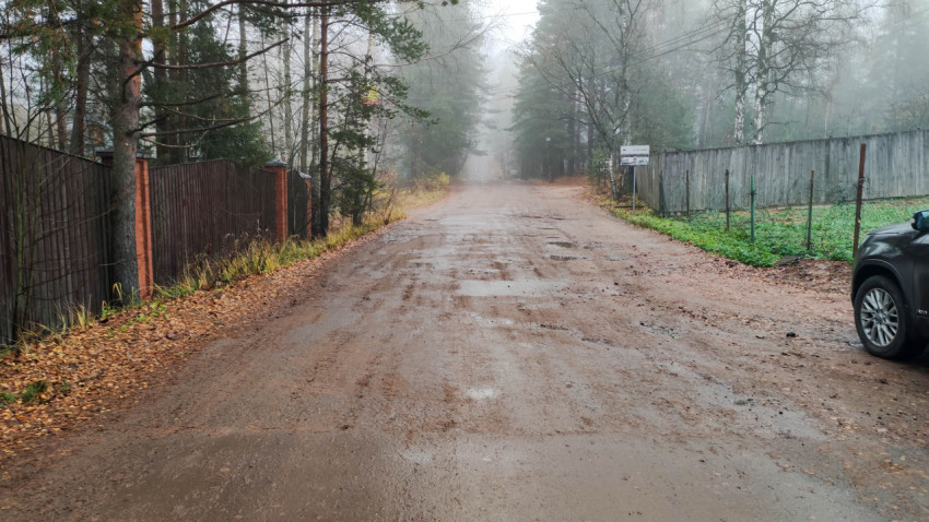 Загородная дорога в тумане после дождя