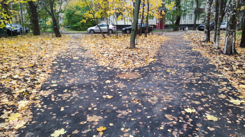 Новые асфальтовые дорожки во дворе, покрытые опавшей осенней листвой
