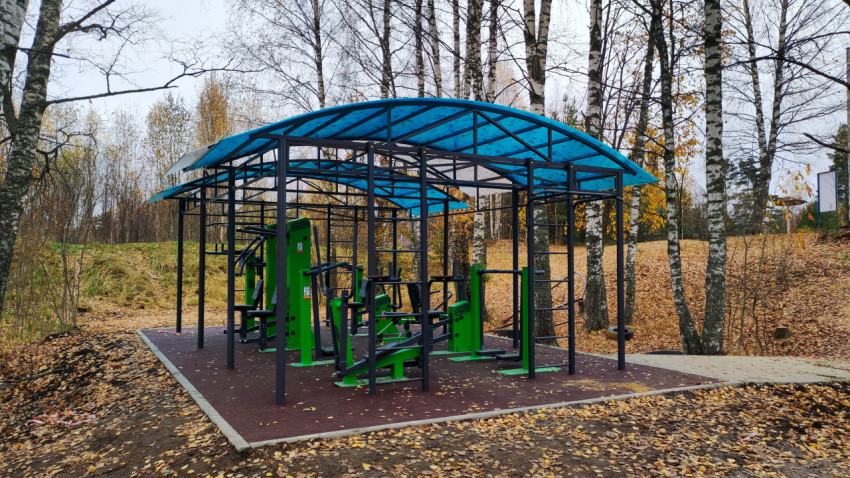 Открытая уличная спортивная площадка с навесом в парковой зоне
