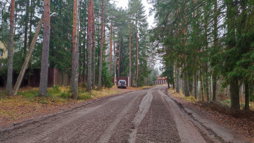 Грунтовая дорога в лесной местности после дорожных работ