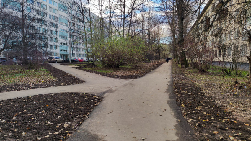 Разветвление асфальтированных пешеходных дорожек в жилом районе