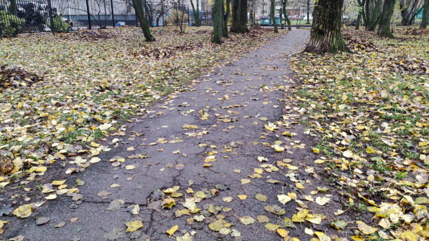 Пешеходная дорожка во дворе, покрытая опавшей осенней листвой