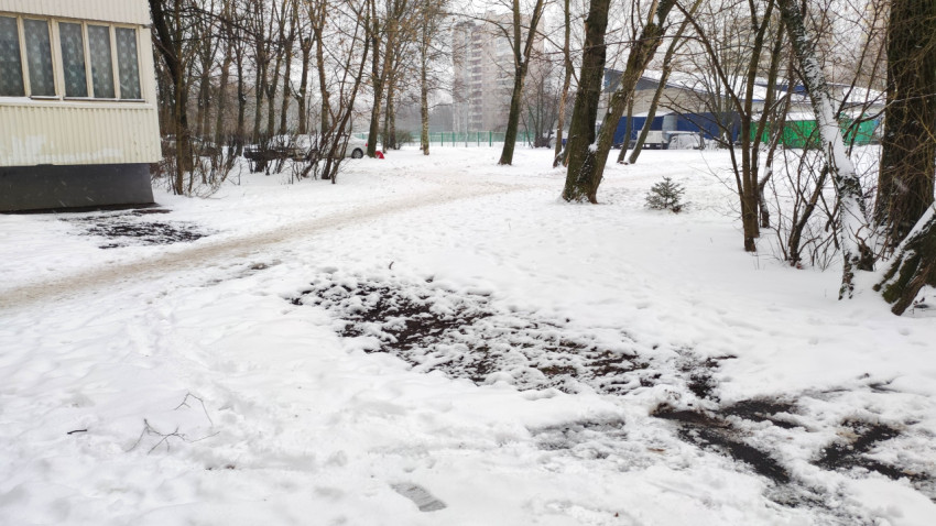 Заснеженный городской двор с тропинкой среди деревьев
