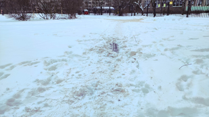 Протоптанная тропинка в снегу на фоне школьного двора