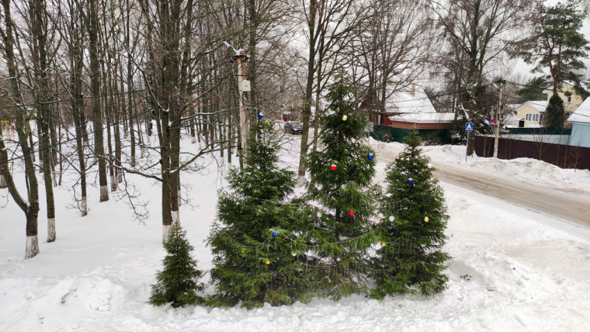 Заснеженные ели с новогодними украшениями в городе