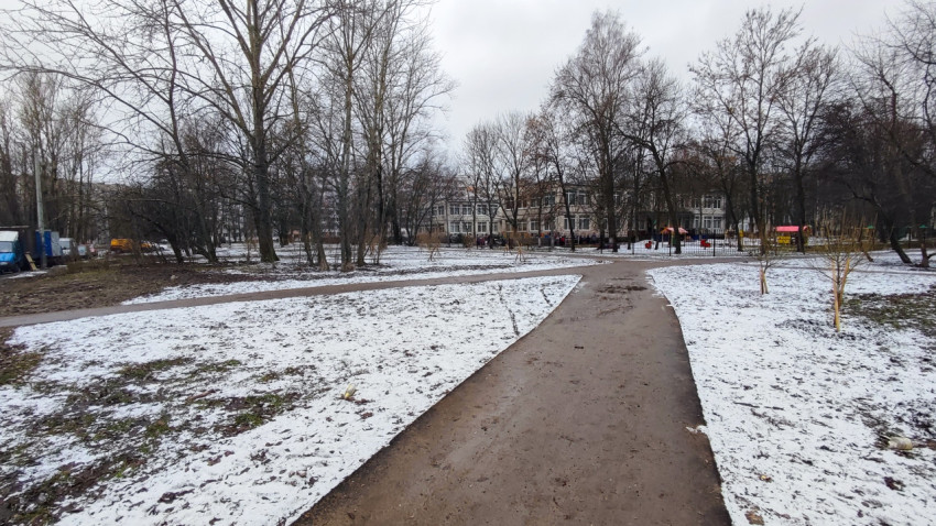 Пешеходная дорожка и молодые деревья на зимней дворовой территории