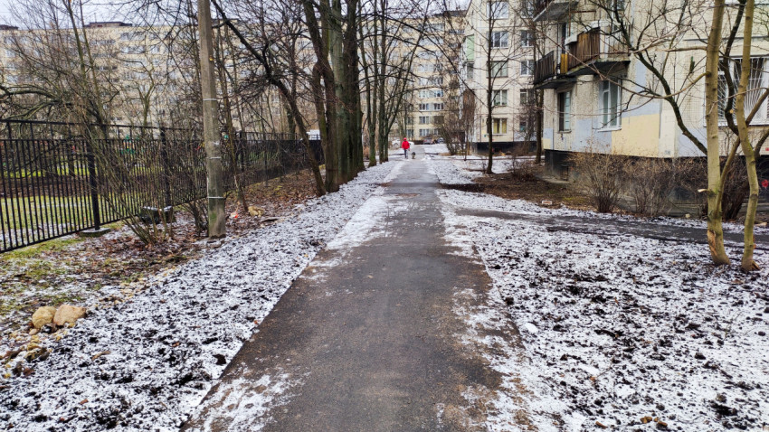 Пешеходная дорожка через двор с деревьями и снегом