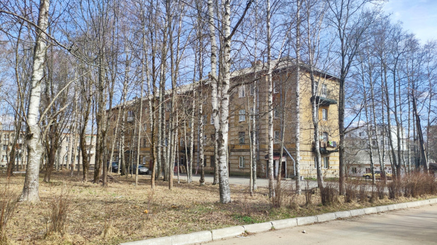 Старая кирпичная четырехэтажка среди берез в весеннем дворе