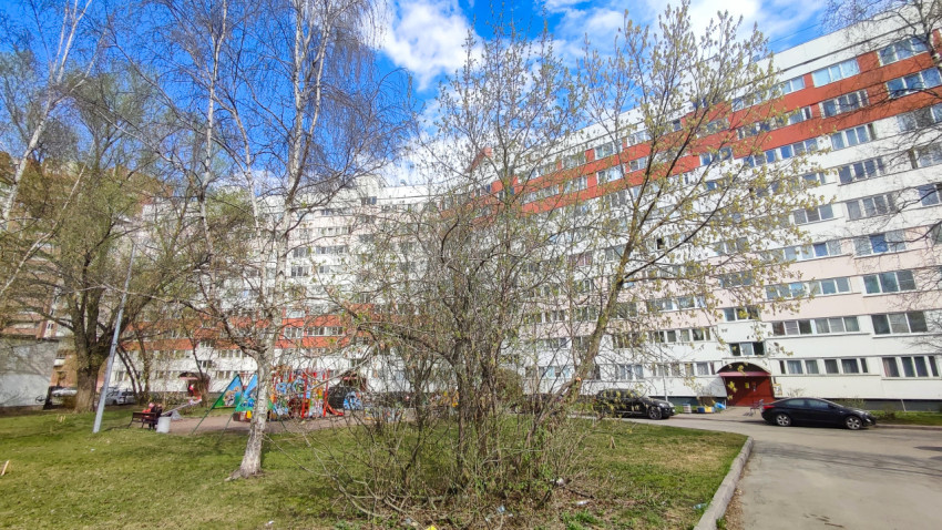 Двор жилого дома с деревьями и детской площадкой весной