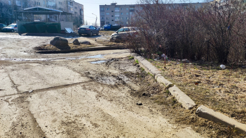 Грязный двор с кустарником и контейнерной площадкой на фоне многоэтажек