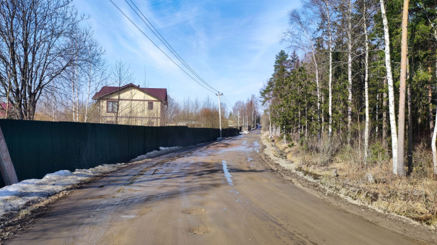 Весенняя улица вдоль леса и частных домов с остатками снега