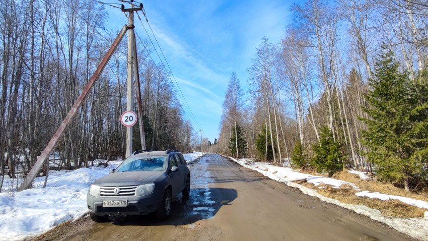 Весенняя лесная дорога с припаркованным автомобилем