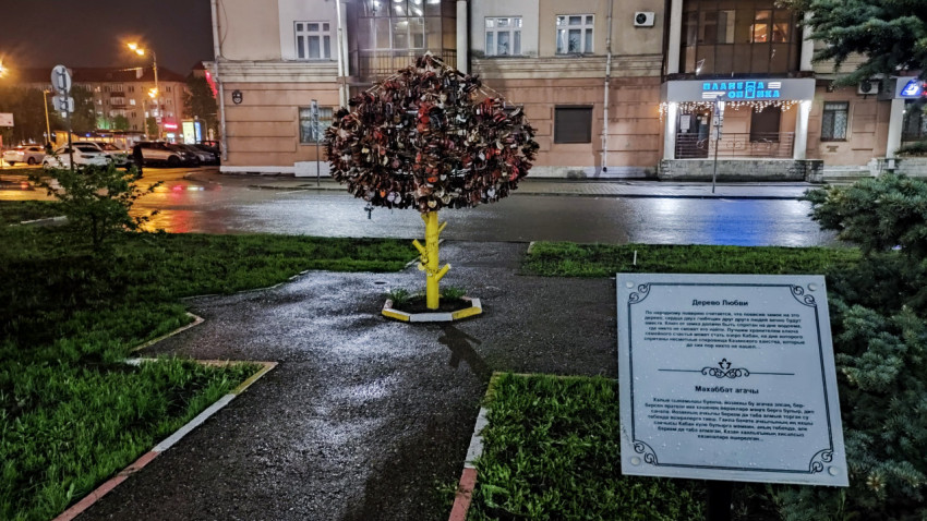 Дерево любви с замками и информационной табличкой в сквере