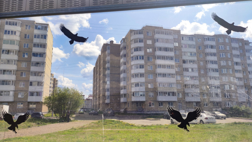 Шумозащитные панели и жилые дома за прозрачными вставками