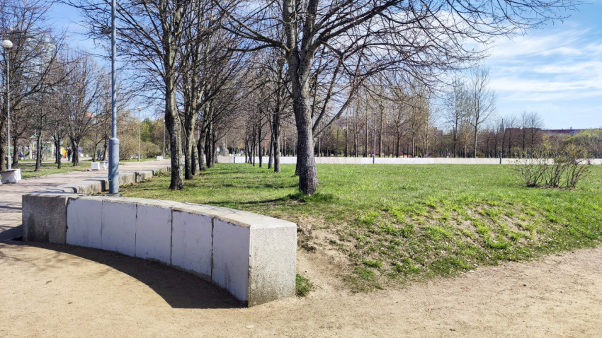 Зеленая зона и деревья Парка 300-летия Санкт-Петербурга весной