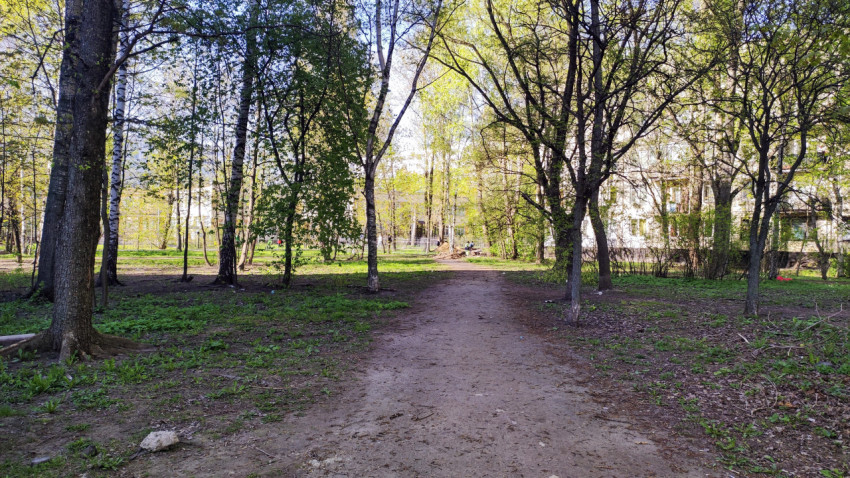 Пешеходная тропа в зелёной парковой зоне
