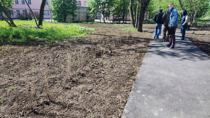 Группа людей на пешеходной дорожке в парке