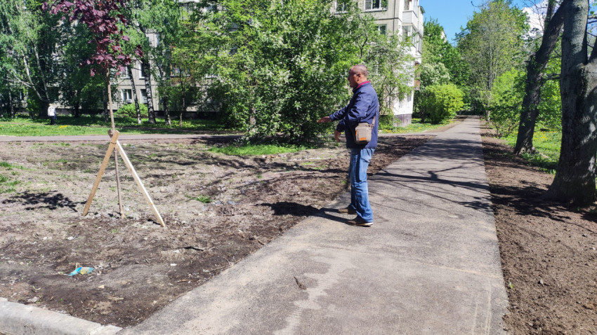 Мужчина на асфальтированной дорожке возле молодого дерева