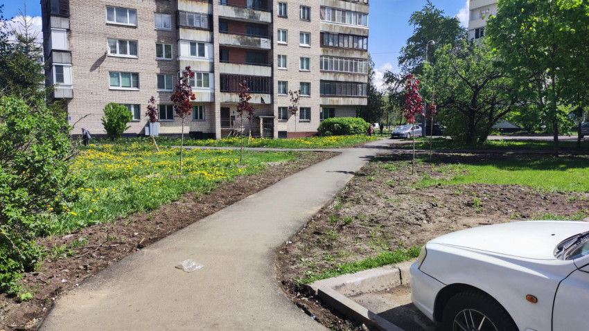 Пешеходная дорожка во дворе с жилым домом и деревьями