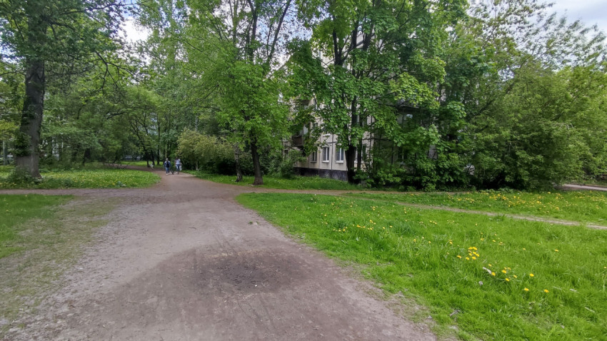 Пешеходная дорожка в дворе с одуванчиками и тенью от деревьев
