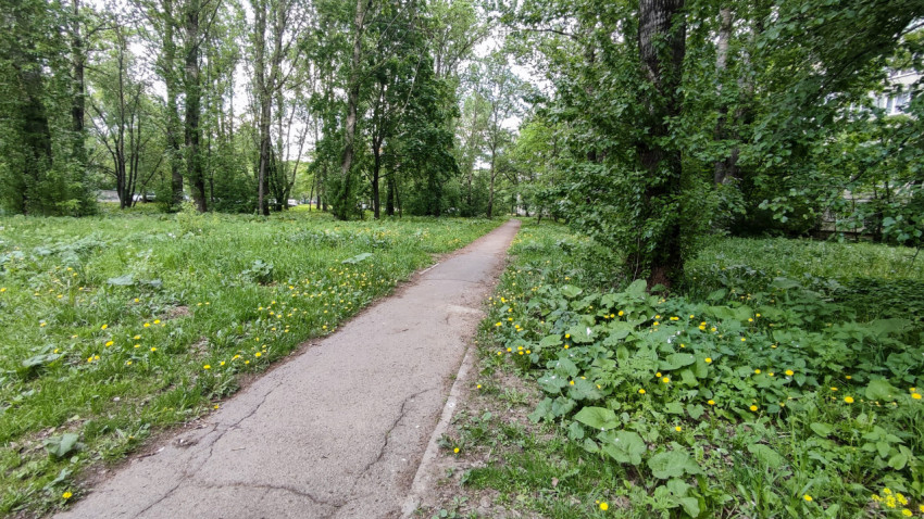Асфальтированная дорожка в парковой зоне жилого района