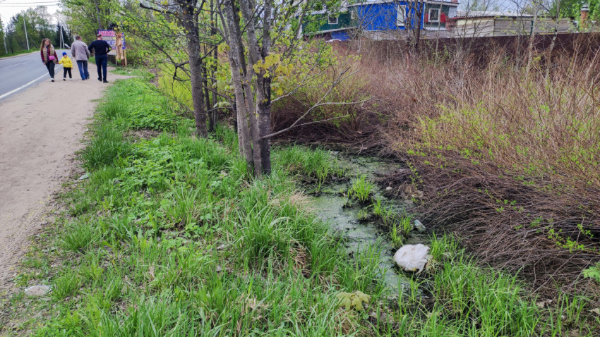 Водоотводная канава с деревьями и кустарниками вдоль дороги