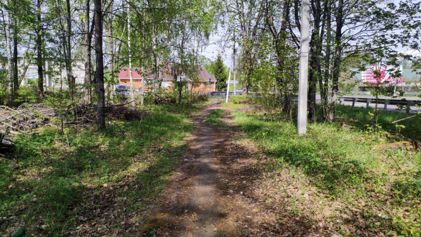 Лесная тропа, ведущая к жилым домам