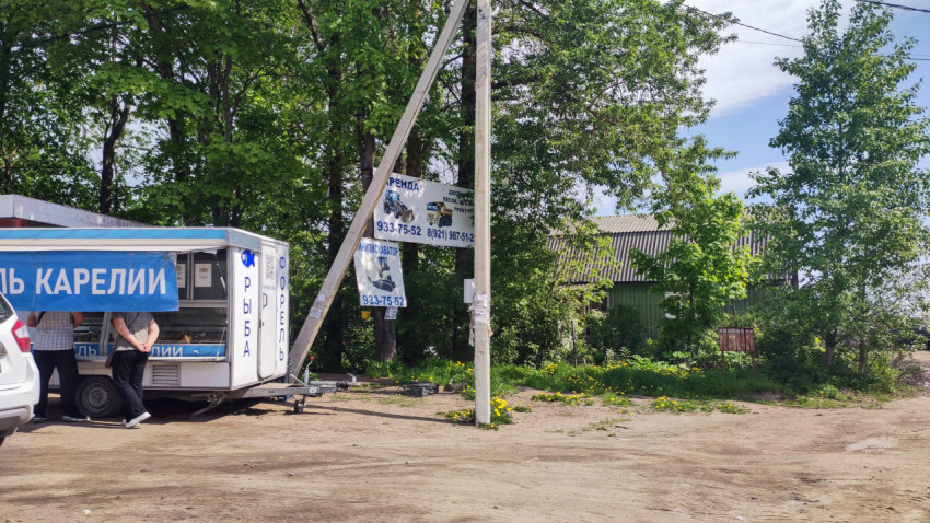 Торговая палатка с рыбой в пригородном посёлке