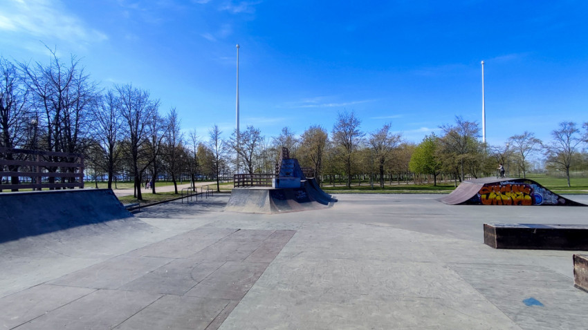 Скейт-площадка с рампами и деревьями в парке