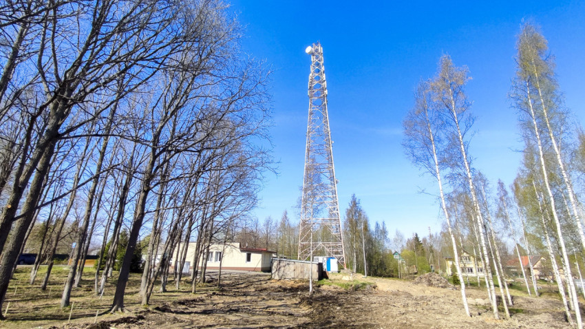 Антенная башня и хозяйственные постройки в лесной зоне
