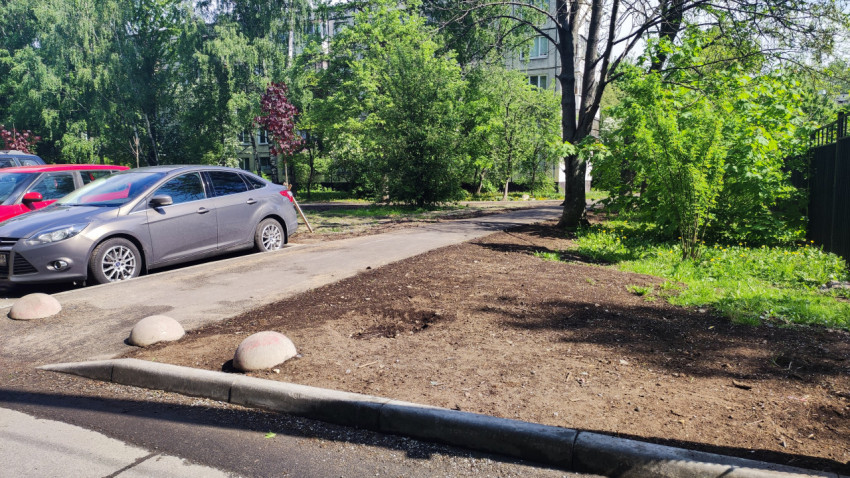 Парковка автомобилей рядом с зелёной зоной