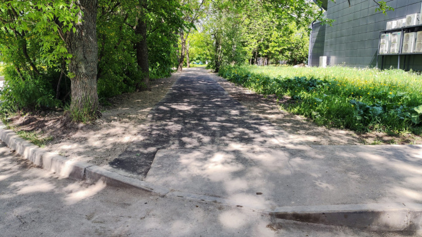 Пешеходная дорожка во дворе, окружённая зеленью