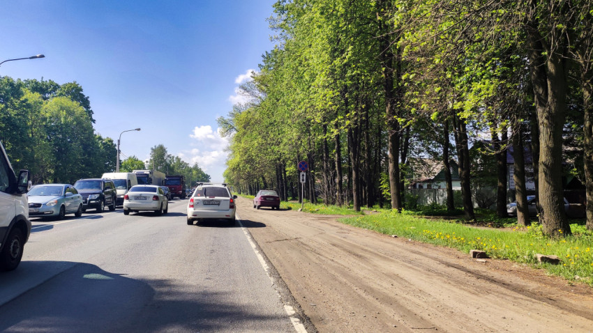 Загородная дорога с плотным потоком и грунтовой обочиной вдоль аллеи
