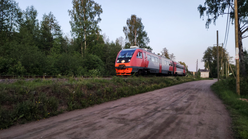 Дизель-поезд на железнодорожных путях у леса