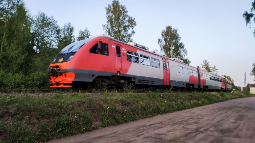 Дизель-поезд РА2 на железнодорожной ветке в лесной зоне