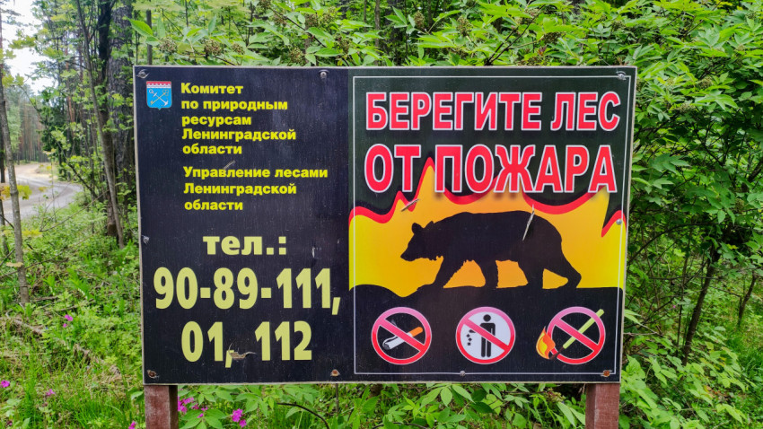 Табличка «Берегите лес от пожара» в Ленинградской области