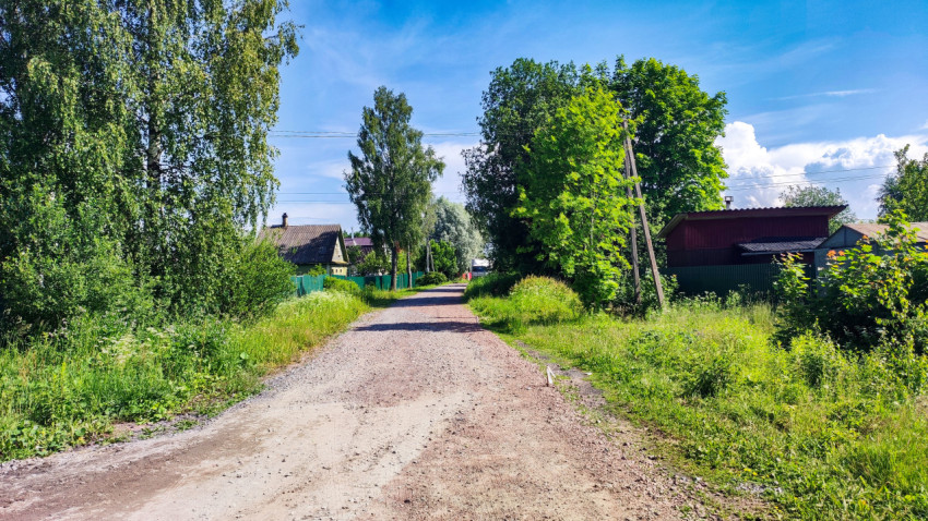 Загородная улица с частными домами и зелёными насаждениями