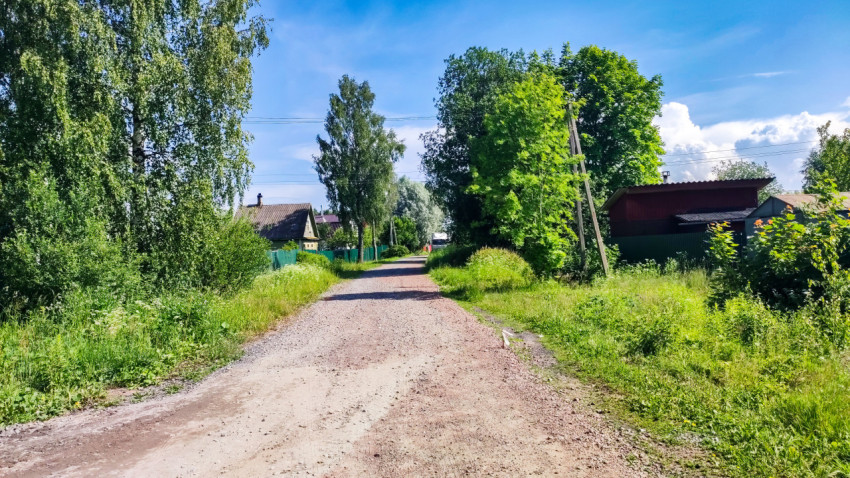 Просёлочная дорога среди зелёных деревьев и жилых построек