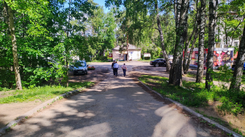 Дорога в жилом квартале с пешеходами и деревьями
