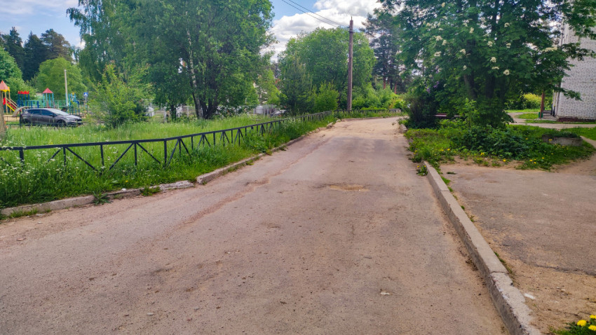 Дворовая дорога с бордюрами и зелеными насаждениями рядом с домом