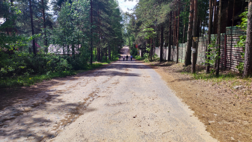 Асфальтовая дорога в лесном массиве с пешеходами