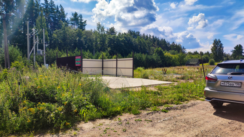 Площадка для контейнеров рядом с лесным массивом