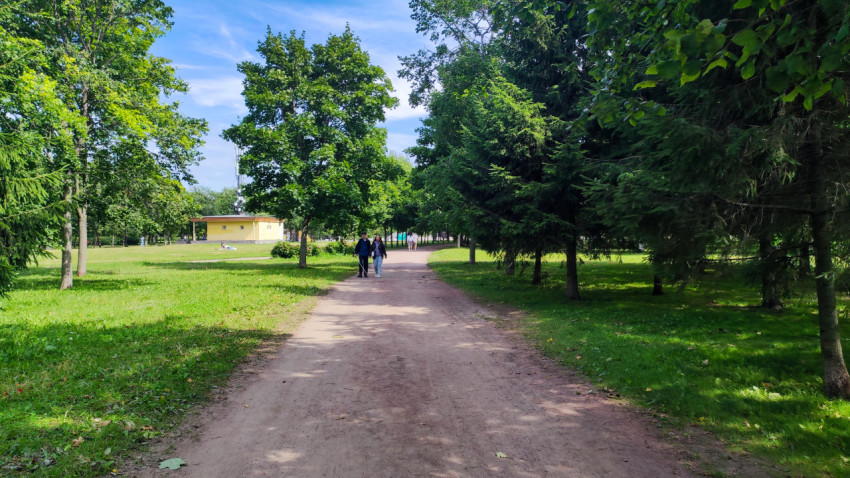 Пешеходная тропа в парке с зелёными насаждениями