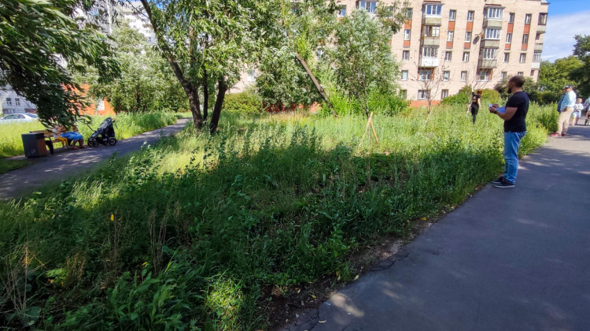 Люди на пешеходной дорожке возле заросшего газона