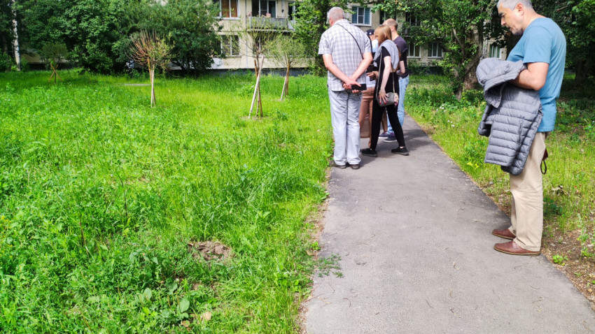 Группа людей осматривает посадки на дворовой территории