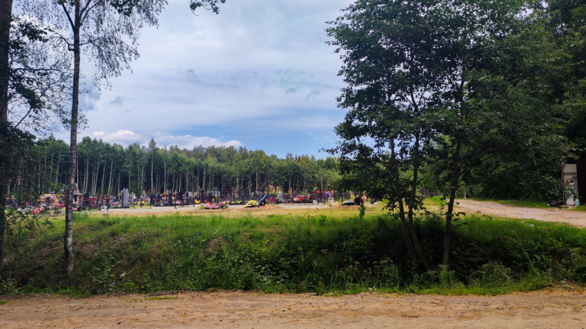 Лес и кладбище на окраине населенного пункта