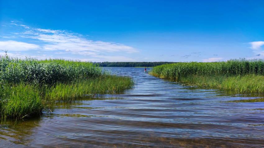 Человек на сапборде у входа в озеро между зарослями